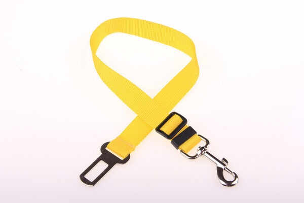 Fixed Strap Polyester Dog Strap Dog Leash Dog Leash - Image 9